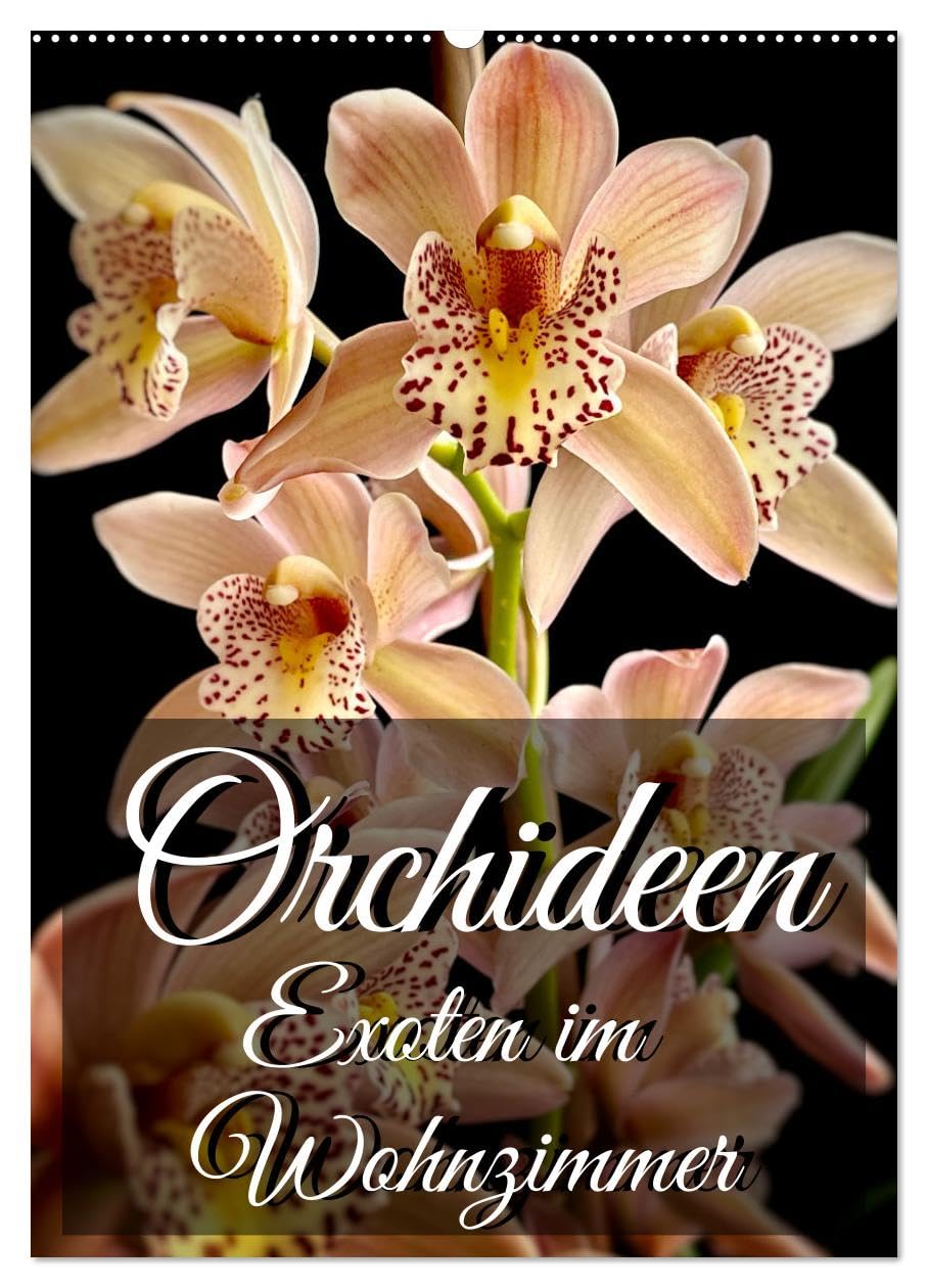 Orchideen - Exoten im Wohnzimmer (Wandkalender 2026 DIN A2 hoch), CALVENDO Monatskalender Garden & Plants