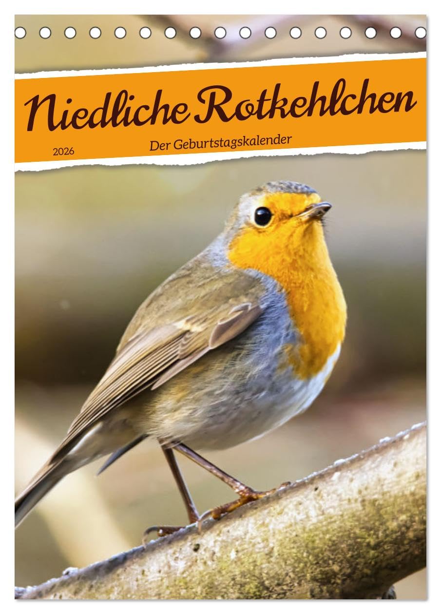 Niedliche Rotkehlchen (Tischkalender 2026 DIN A5 hoch), CALVENDO Monatskalender Social Sciences