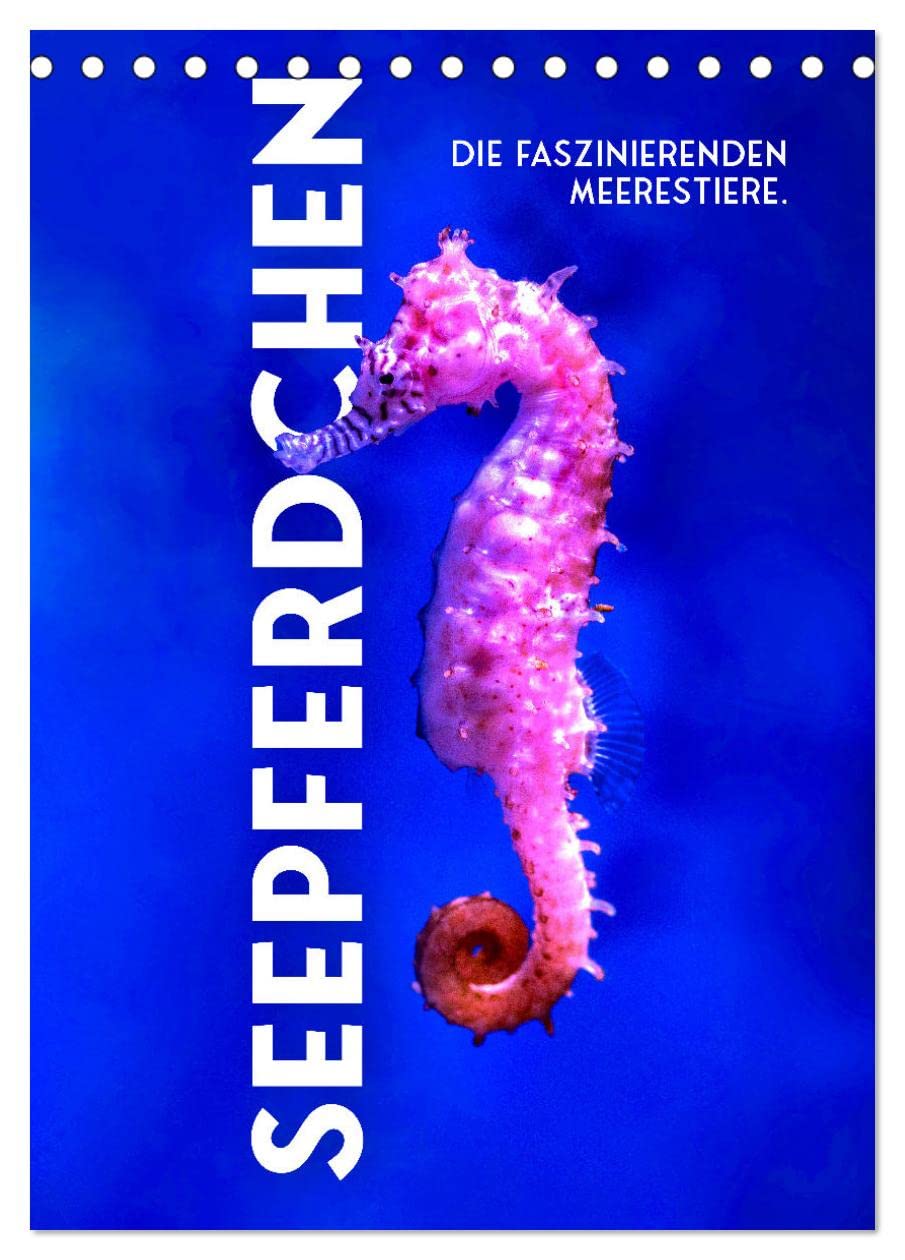 Seepferdchen - Die faszinierende Meerestiere. (Tischkalender 2026 DIN A5 hoch), CALVENDO Monatskalender Natural Sciences