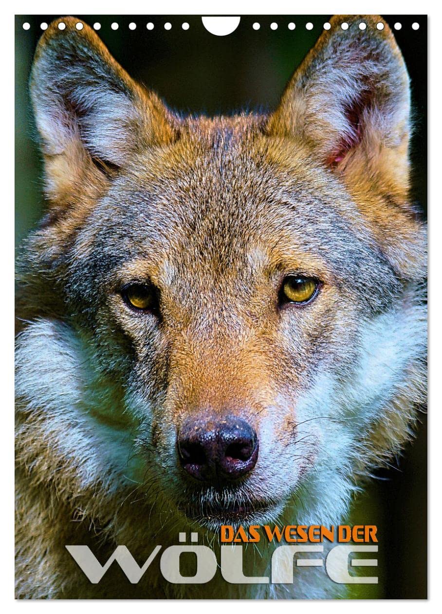 Das Wesen der Wölfe (Wandkalender 2026 DIN A4 hoch), CALVENDO Monatskalender Film, Art & Culture
