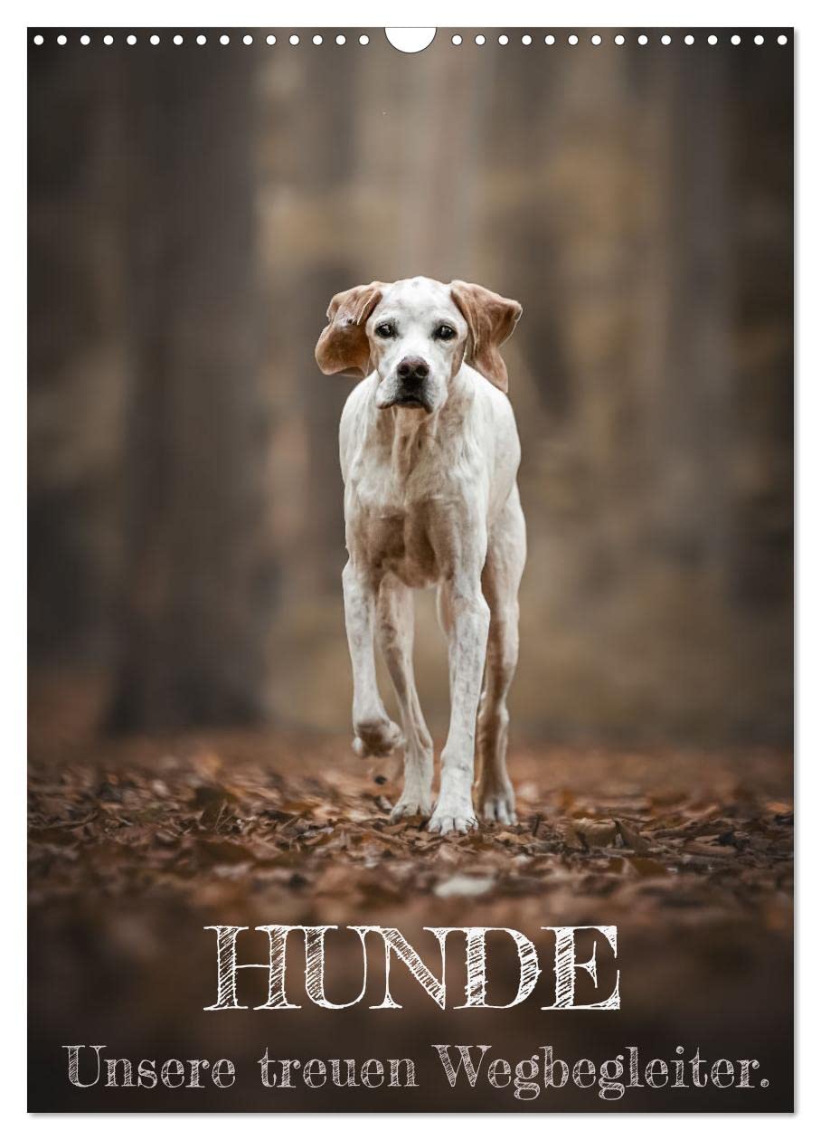 Hunde - Unsere treuen Wegbegleiter. (Wandkalender 2026 DIN A3 hoch), CALVENDO Monatskalender Living & Furnishing