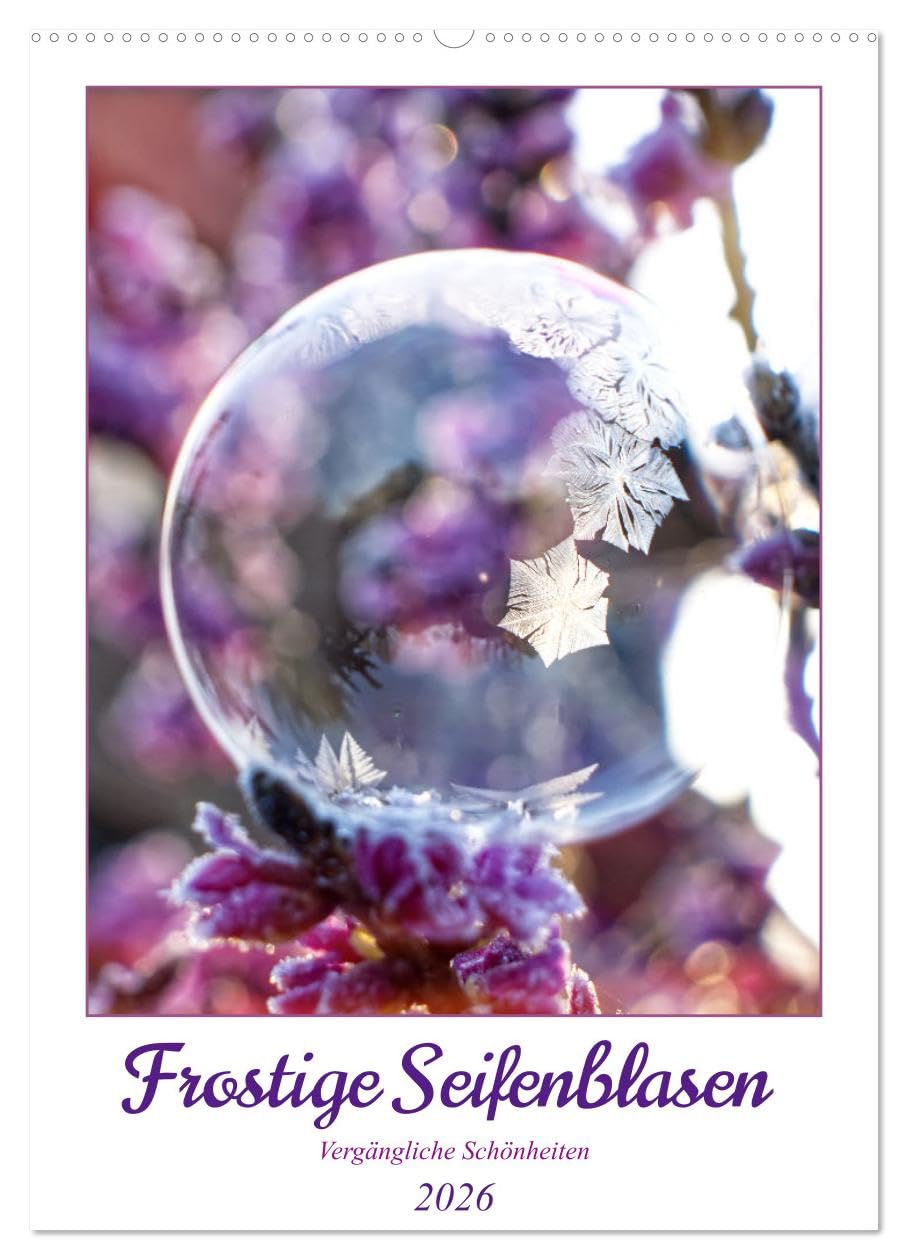 Frostige Seifenblasen (Wandkalender 2026 DIN A2 hoch), CALVENDO Monatskalender Social Sciences