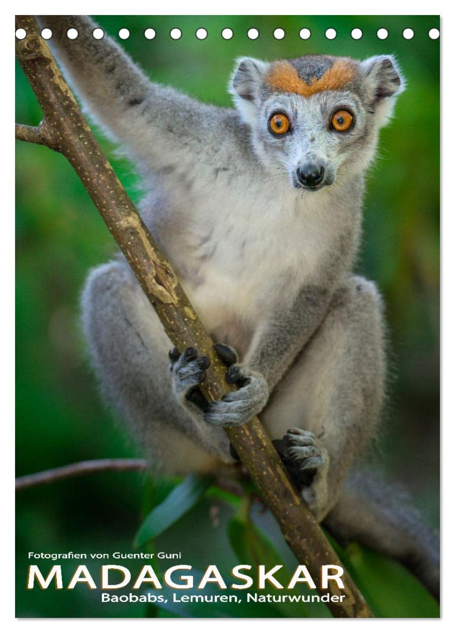 MADAGASKAR: Baobabs, Lemuren, Naturwunder (Tischkalender 2026 DIN A5 hoch), CALVENDO Monatskalender Leisure, Home & Garden