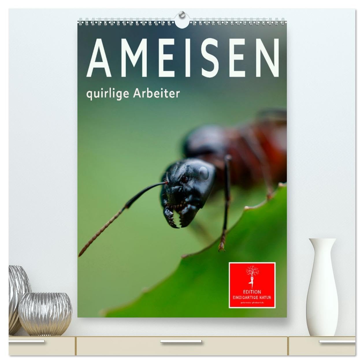 Ameisen quirlige Arbeiter (hochwertiger Premium Wandkalender 2026 DIN A2 hoch), Kunstdruck in Hochglanz Living & Furnishing