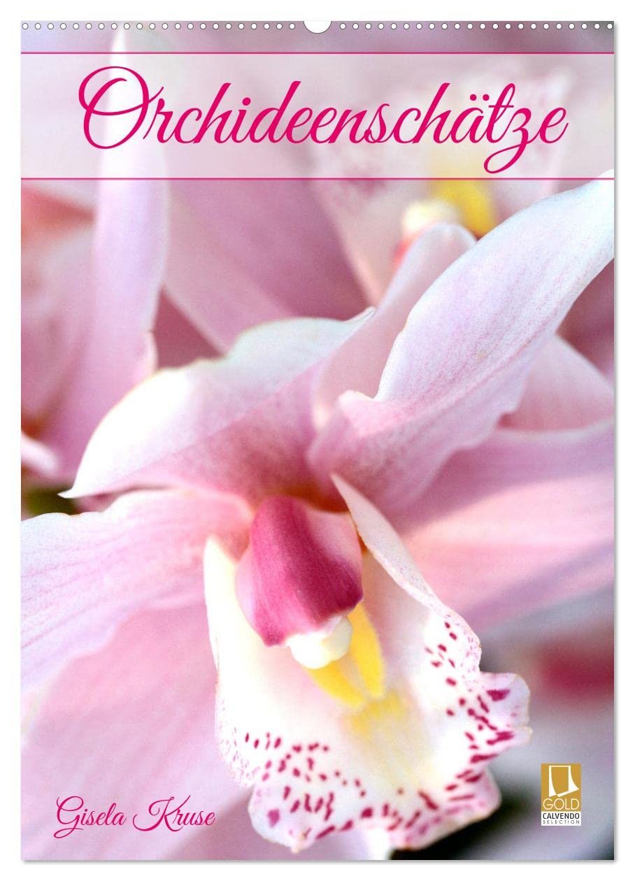 Orchideenschätze (Wandkalender 2026 DIN A2 hoch), CALVENDO Monatskalender Business & Technology