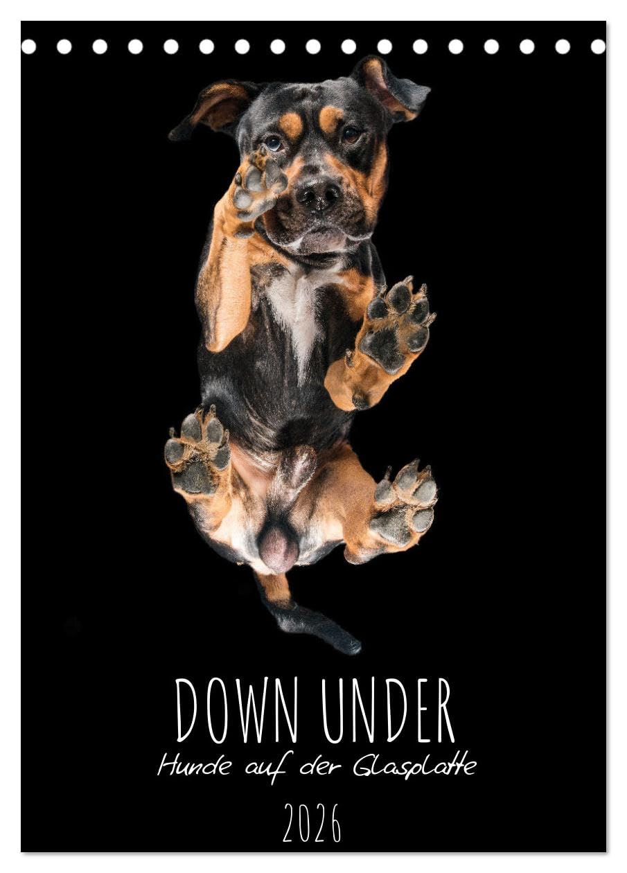 Down Under - Hunde auf der Glasplatte (Tischkalender 2026 DIN A5 hoch), CALVENDO Monatskalender Social Sciences