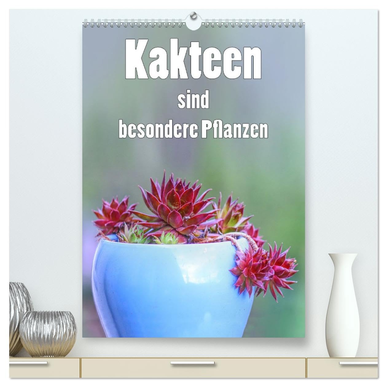 Kakteen sind besondere Pflanzen (hochwertiger Premium Wandkalender 2026 DIN A2 hoch), Kunstdruck in Hochglanz Leisure, Home & Garden
