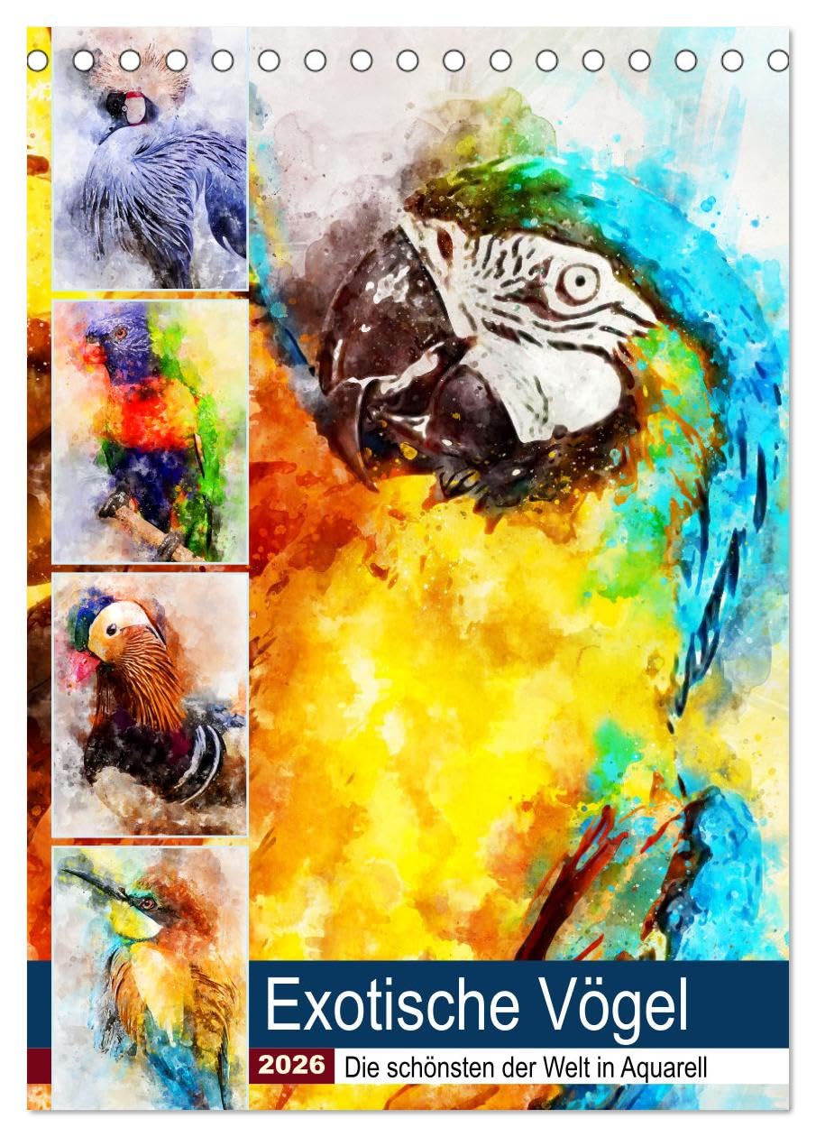 Exotische Vögel - Die Schönsten der Welt in Aquarell (Tischkalender 2026 DIN A5 hoch), CALVENDO Monatskalender Social Sciences