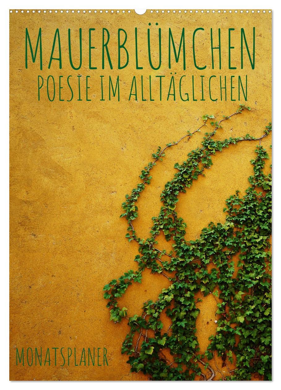 Mauerblümchen - Poesie im Alltäglichen als Monatsplaner (Wandkalender 2026 DIN A2 hoch), CALVENDO Monatskalender Social Sciences