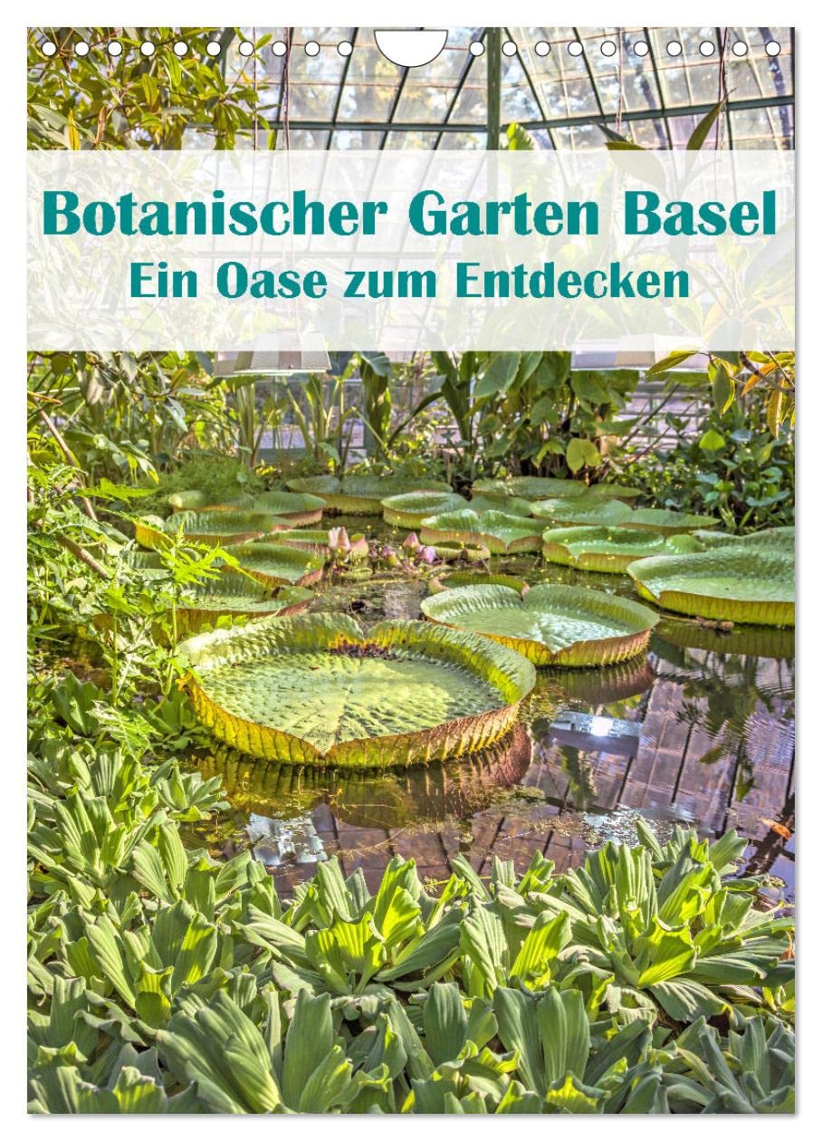 Botanischer Garten Basel - Eine Oase zum Entdecken (Wandkalender 2026 DIN A4 hoch), CALVENDO Monatskalender Film, Art & Culture