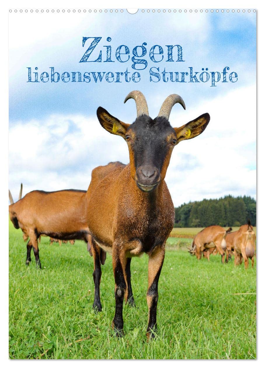 Ziegen - liebenswerte Sturköpfe (Wandkalender 2026 DIN A2 hoch), CALVENDO Monatskalender Natural Sciences