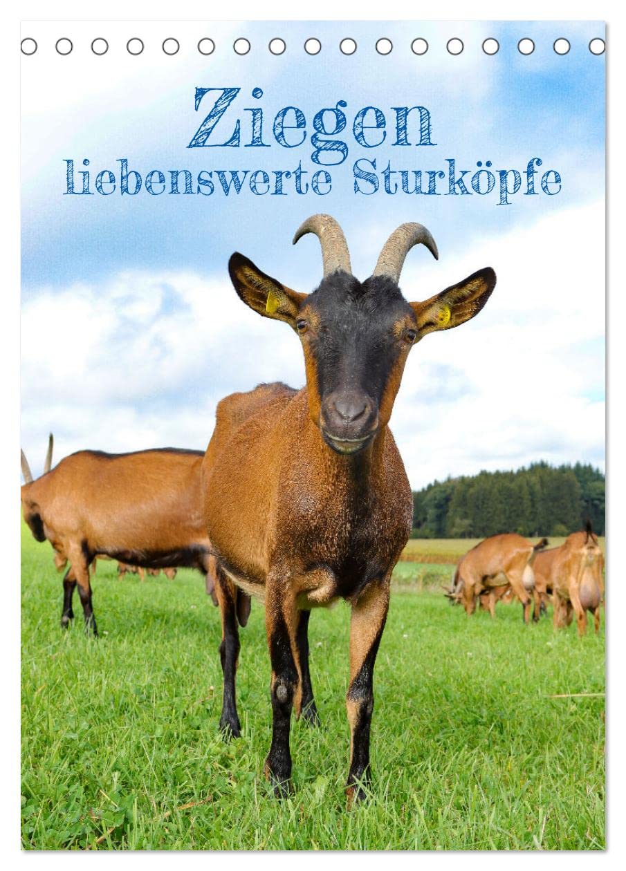 Ziegen - liebenswerte Sturköpfe (Tischkalender 2026 DIN A5 hoch), CALVENDO Monatskalender Natural Sciences