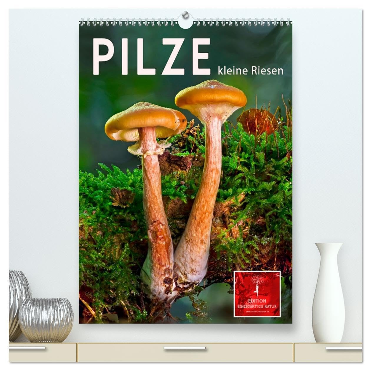 Pilze - kleine Riesen (hochwertiger Premium Wandkalender 2026 DIN A2 hoch), Kunstdruck in Hochglanz Living & Furnishing
