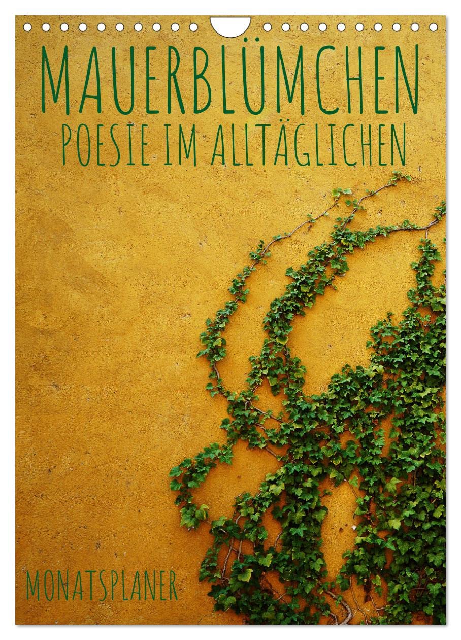 Mauerblümchen - Poesie im Alltäglichen als Monatsplaner (Wandkalender 2026 DIN A4 hoch), CALVENDO Monatskalender Social Sciences