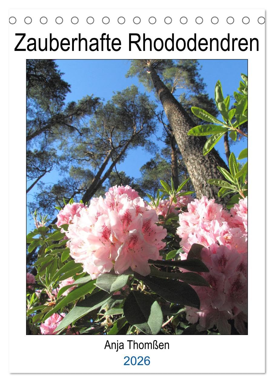 Zauberhafte Rhododendren (Tischkalender 2026 DIN A5 hoch), CALVENDO Monatskalender Film, Art & Culture