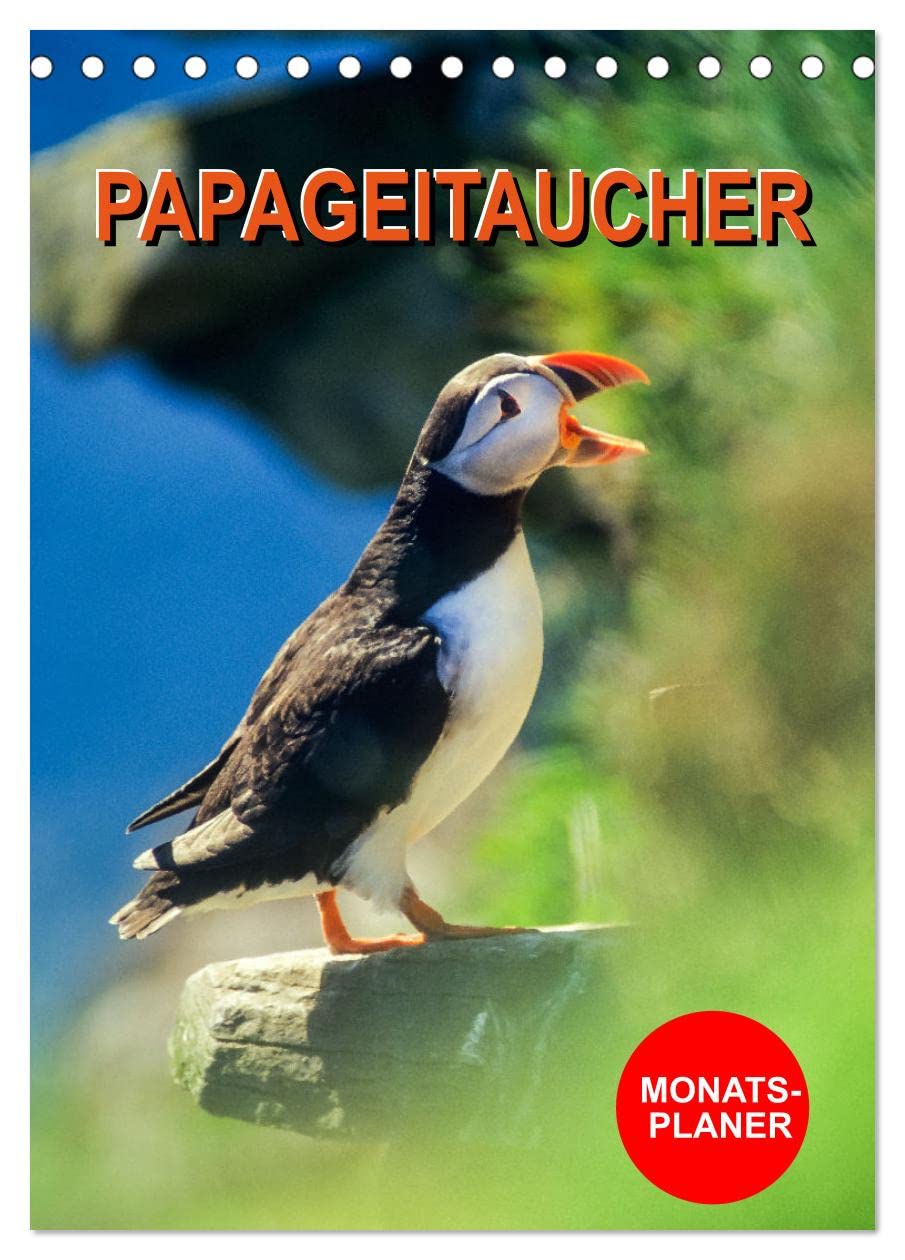 Papageitaucher Monatsplaner (Tischkalender 2026 DIN A5 hoch), CALVENDO Monatskalender Natural Sciences