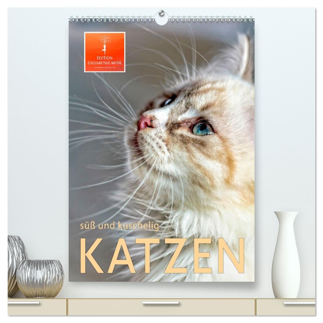 Katzen - süß und kuschelig (hochwertiger Premium Wandkalender 2026 DIN A2 hoch), Kunstdruck in Hochglanz Living & Furnishing