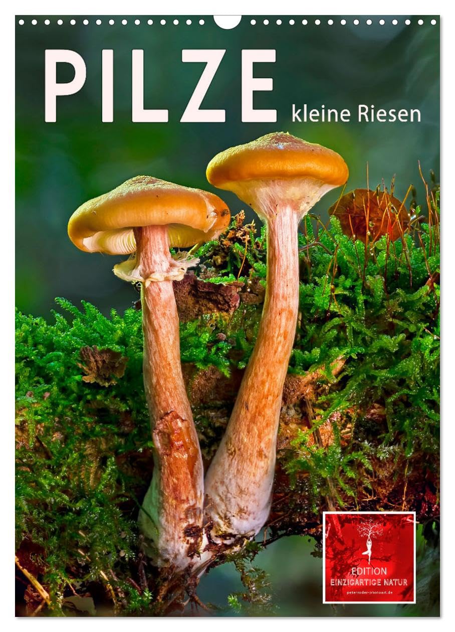 Pilze - kleine Riesen (Wandkalender 2026 DIN A3 hoch), CALVENDO Monatskalender Living & Furnishing