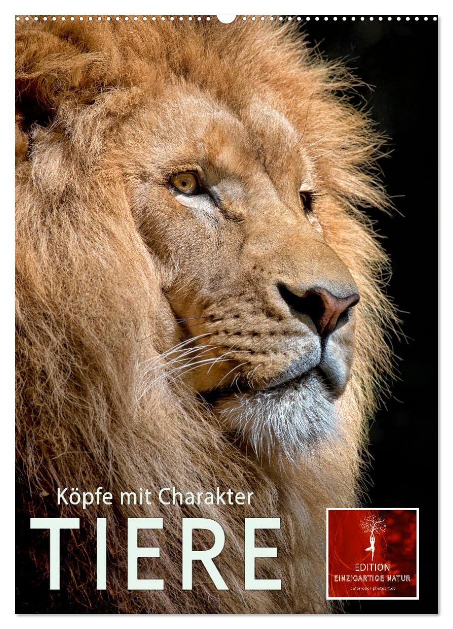Tiere - Köpfe mit Charakter (Wandkalender 2026 DIN A2 hoch), CALVENDO Monatskalender Living & Furnishing