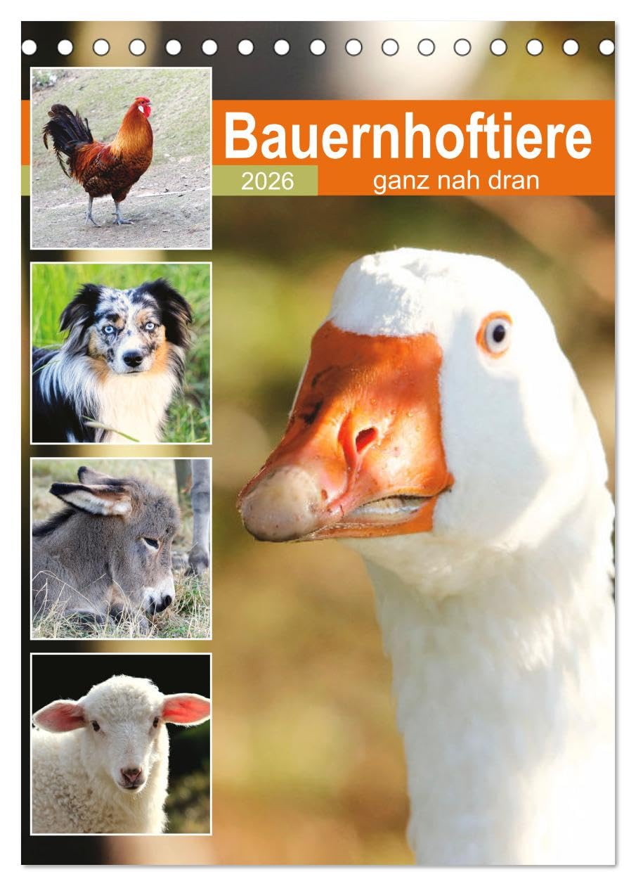Bauernhoftiere, ganz nah dran (Tischkalender 2026 DIN A5 hoch), CALVENDO Monatskalender Social Sciences