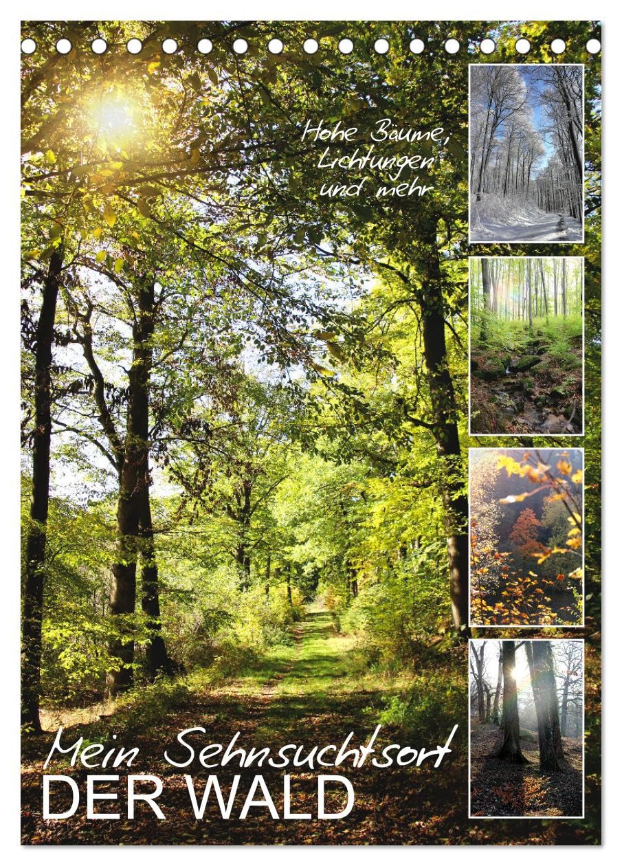Mein Sehnsuchtsort, der Wald (Tischkalender 2026 DIN A5 hoch), CALVENDO Monatskalender Social Sciences