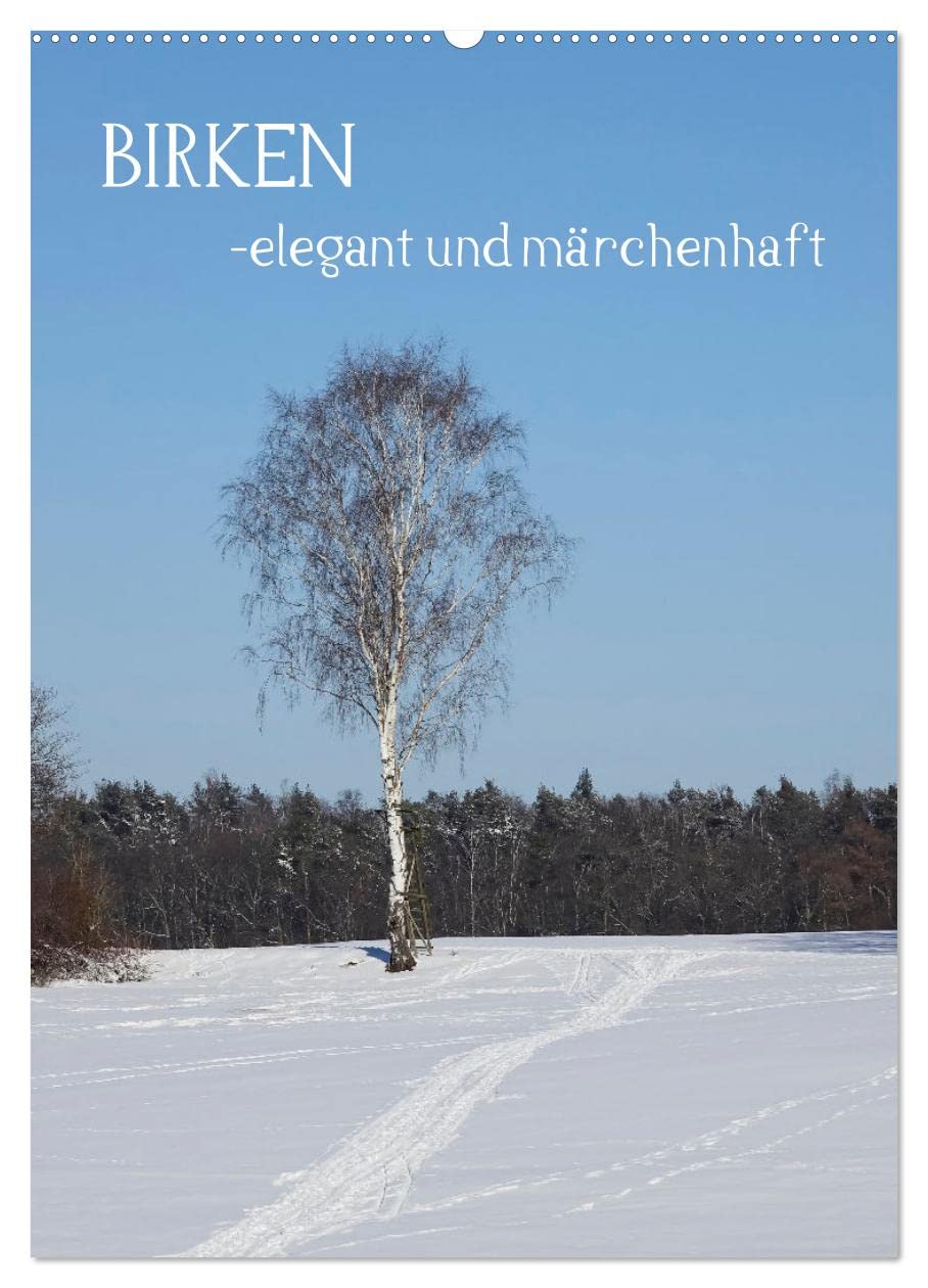Birken - elegant und märchenhaft (Wandkalender 2026 DIN A2 hoch), CALVENDO Monatskalender Film, Art & Culture