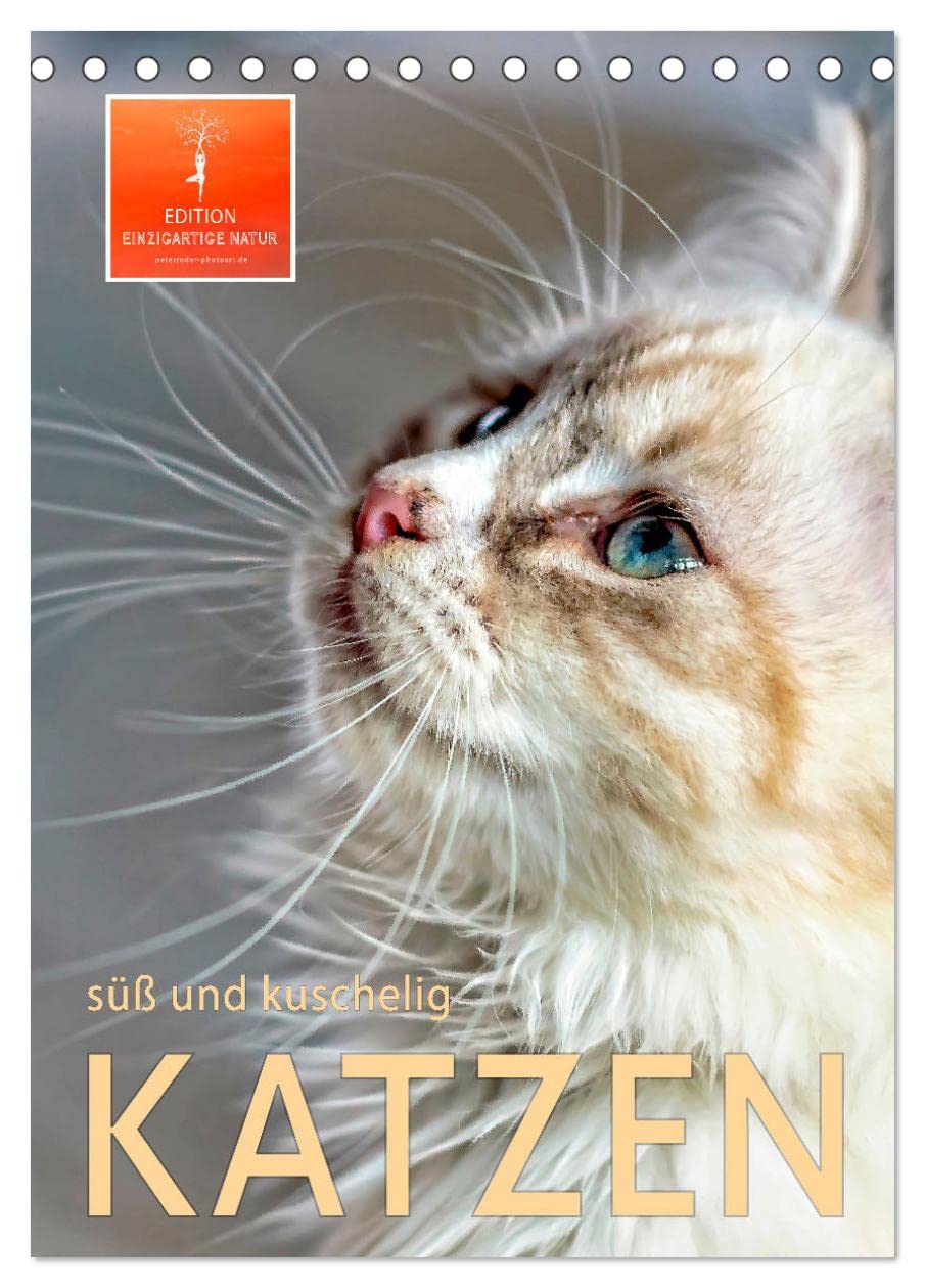 Katzen - süß und kuschelig (Tischkalender 2026 DIN A5 hoch), CALVENDO Monatskalender Living & Furnishing