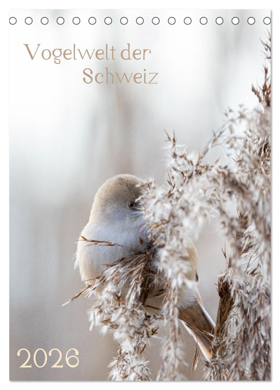 Vogelwelt der Schweiz (Tischkalender 2026 DIN A5 hoch), CALVENDO Monatskalender Natural Sciences