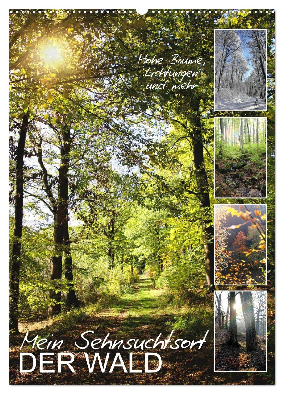 Mein Sehnsuchtsort, der Wald (Wandkalender 2026 DIN A2 hoch), CALVENDO Monatskalender Social Sciences