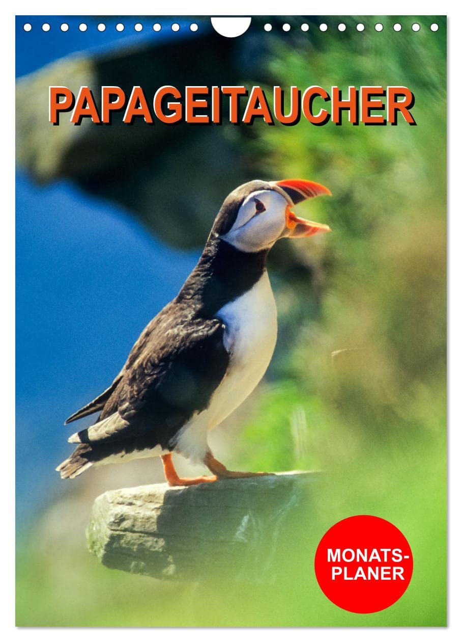 Papageitaucher Monatsplaner (Wandkalender 2026 DIN A4 hoch), CALVENDO Monatskalender Natural Sciences