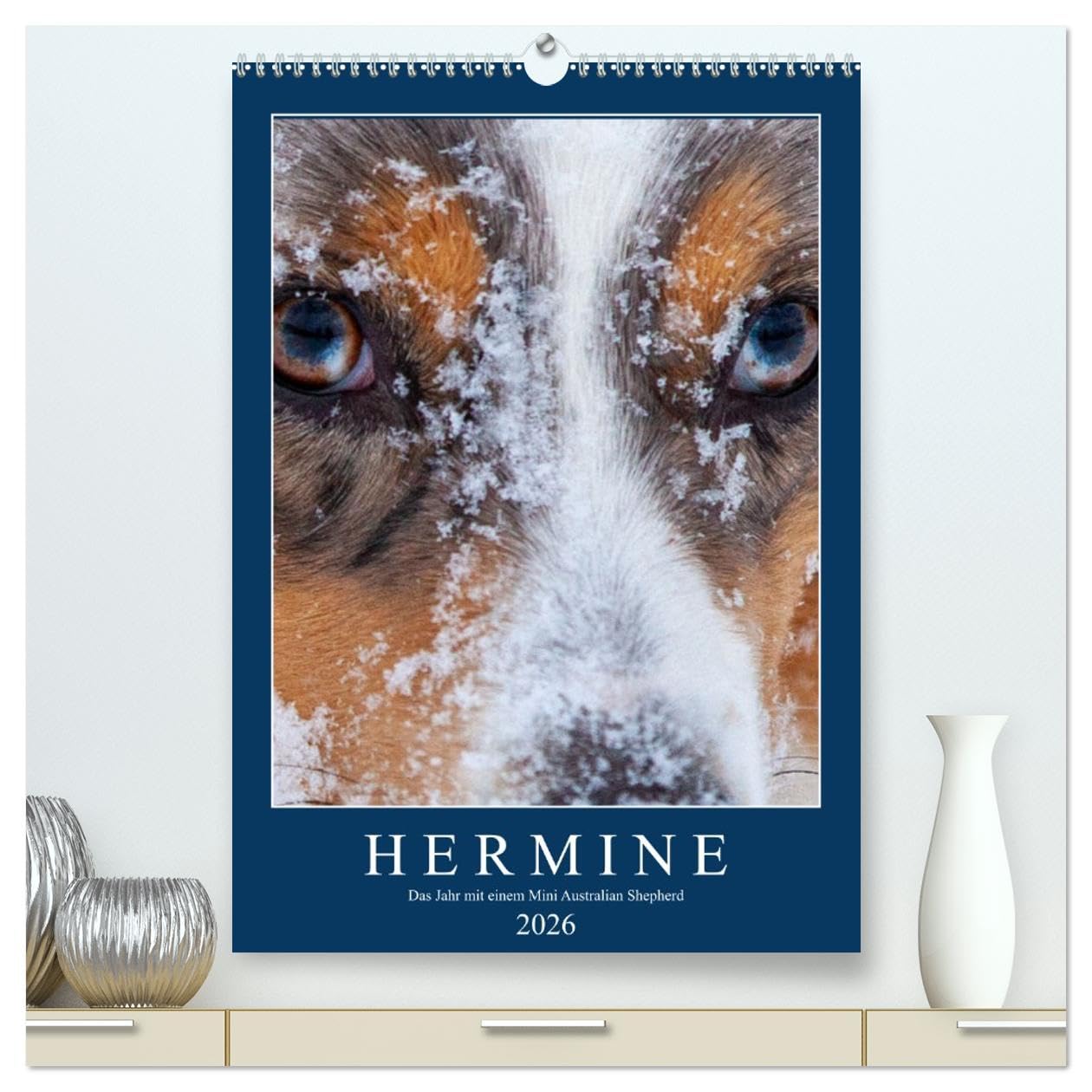 Hermine - Ein Jahr mit einem Mini Australian Shepherd (hochwertiger Premium Wandkalender 2026 DIN A2 hoch), Kunstdruck in Hochglanz Natural Sciences
