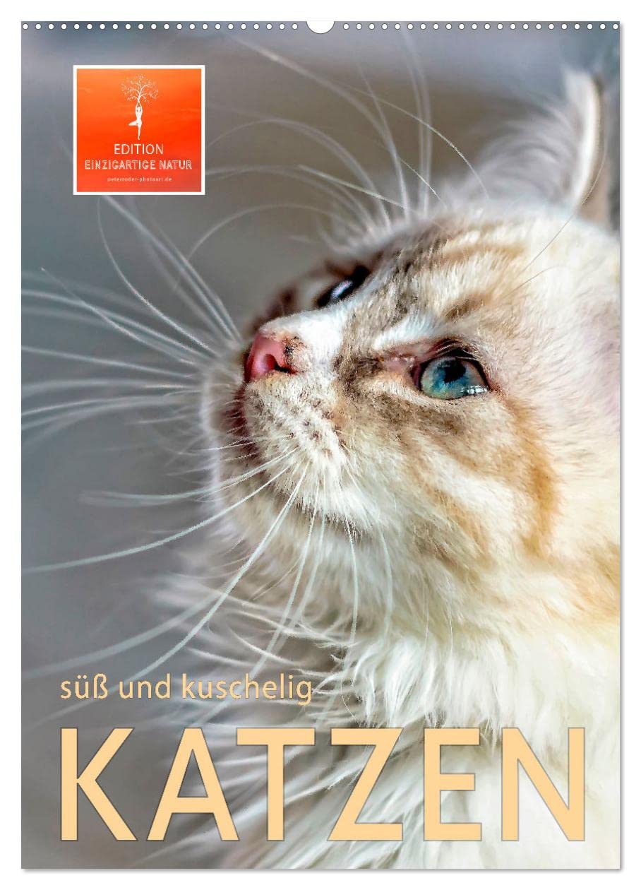 Katzen - süß und kuschelig (Wandkalender 2026 DIN A2 hoch), CALVENDO Monatskalender Living & Furnishing