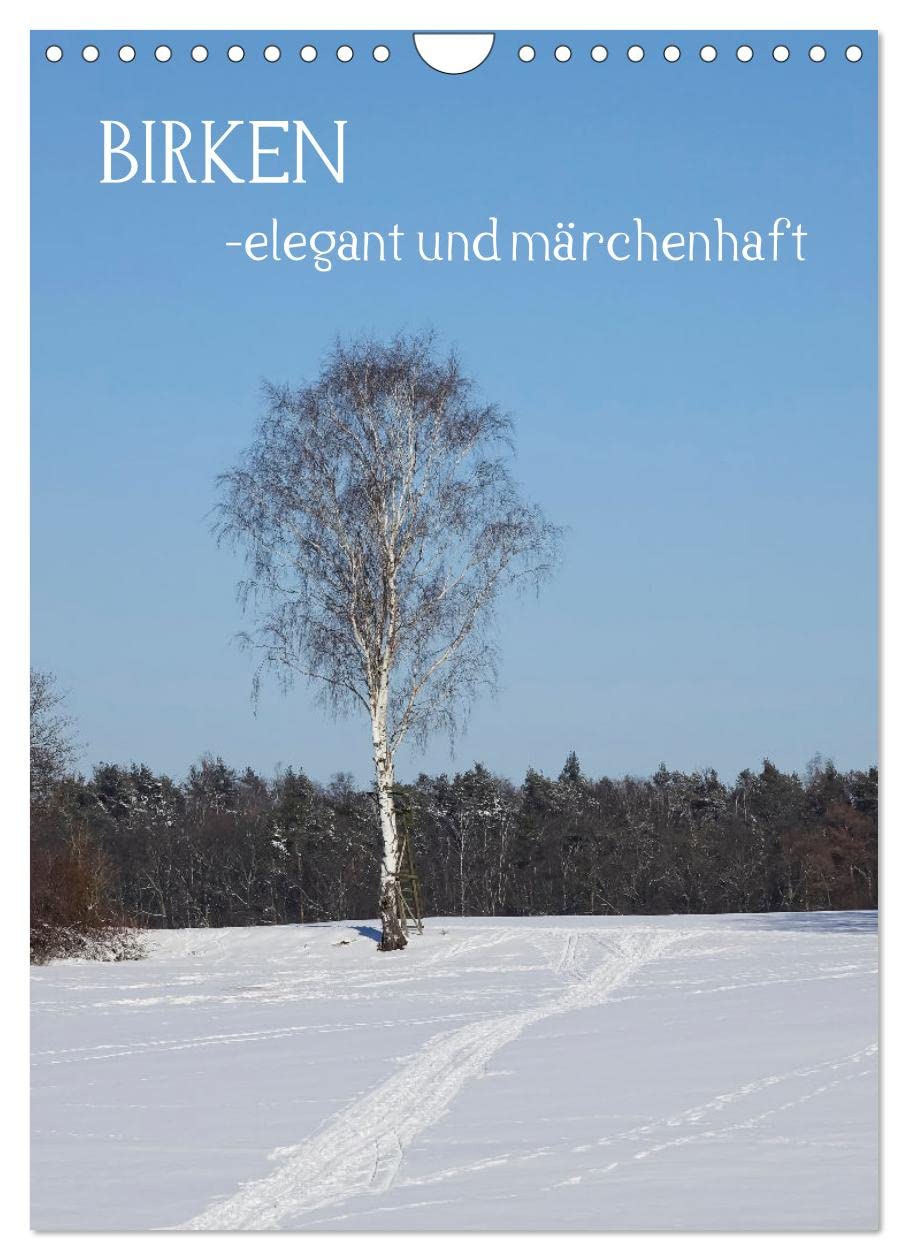 Birken - elegant und märchenhaft (Wandkalender 2026 DIN A4 hoch), CALVENDO Monatskalender Film, Art & Culture