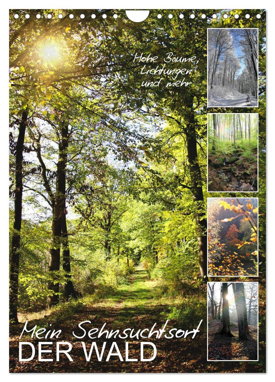Mein Sehnsuchtsort, der Wald (Wandkalender 2026 DIN A4 hoch), CALVENDO Monatskalender Social Sciences