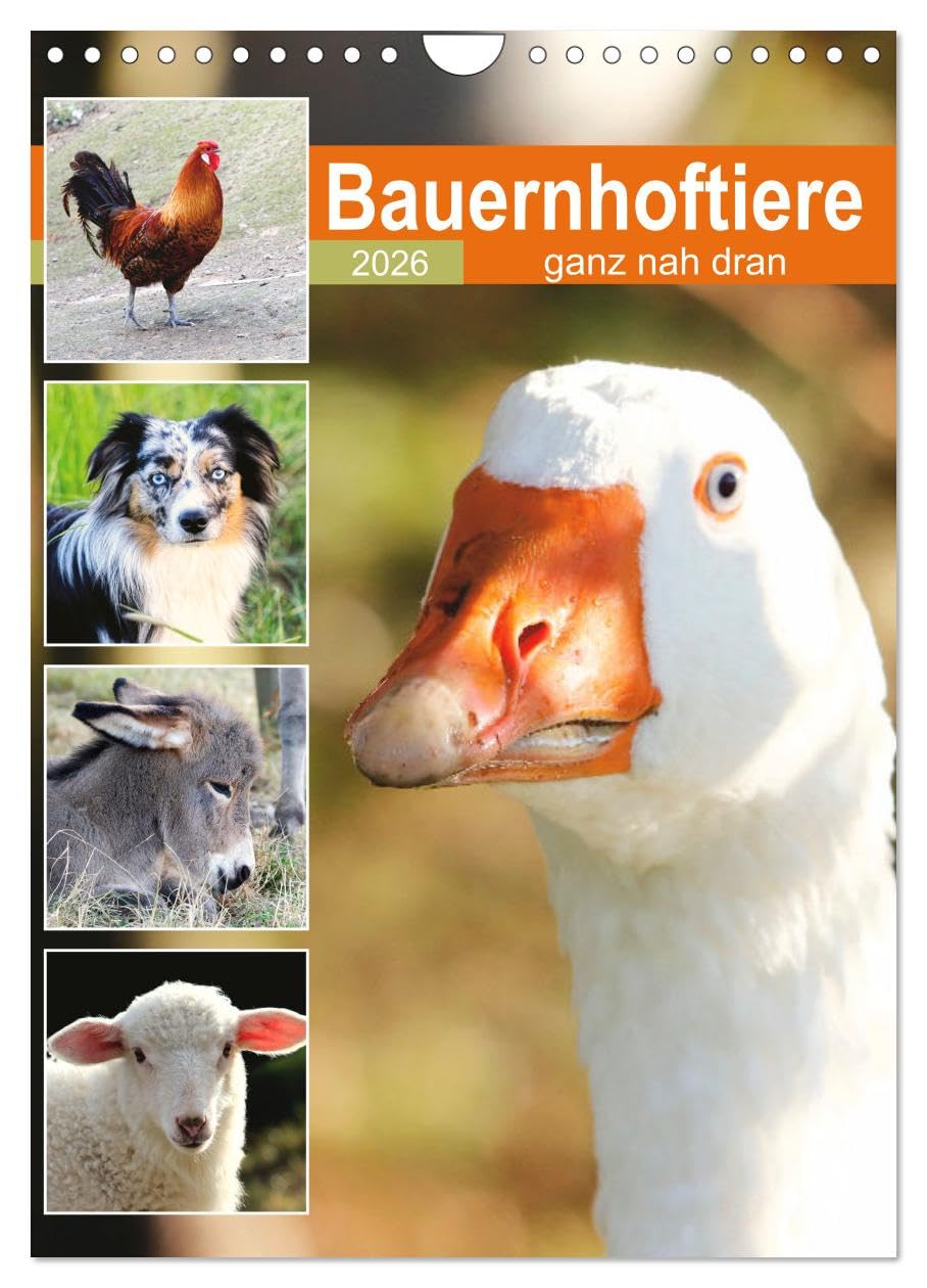 Bauernhoftiere, ganz nah dran (Wandkalender 2026 DIN A4 hoch), CALVENDO Monatskalender Social Sciences