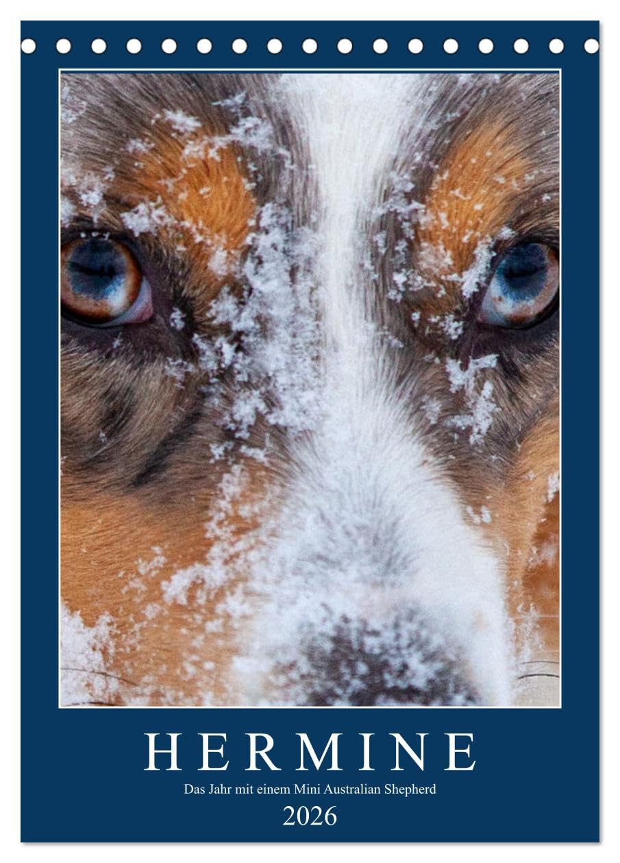Hermine - Ein Jahr mit einem Mini Australian Shepherd (Tischkalender 2026 DIN A5 hoch), CALVENDO Monatskalender Natural Sciences