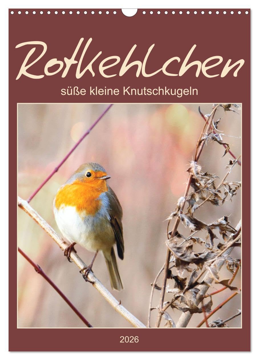 Rotkehlchen, süße kleine Knutschkugeln (Wandkalender 2026 DIN A3 hoch), CALVENDO Monatskalender Social Sciences