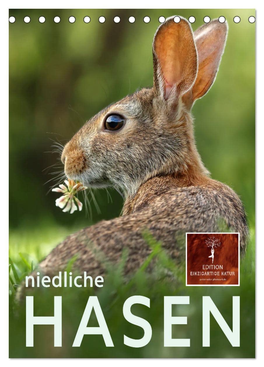 Niedliche Hasen (Tischkalender 2026 DIN A5 hoch), CALVENDO Monatskalender Living & Furnishing