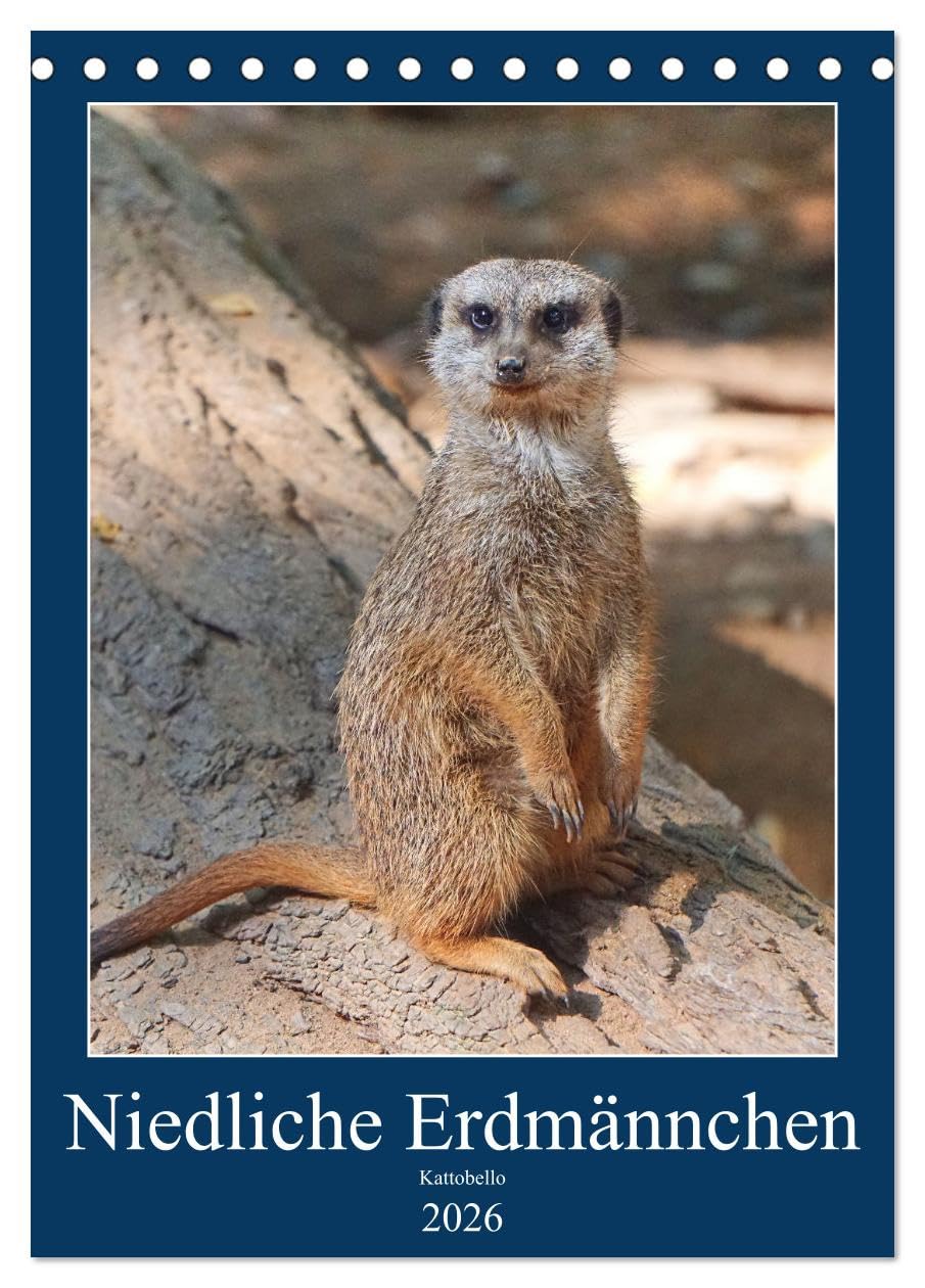 Niedliche Erdmännchen (Tischkalender 2026 DIN A5 hoch), CALVENDO Monatskalender Natural Sciences