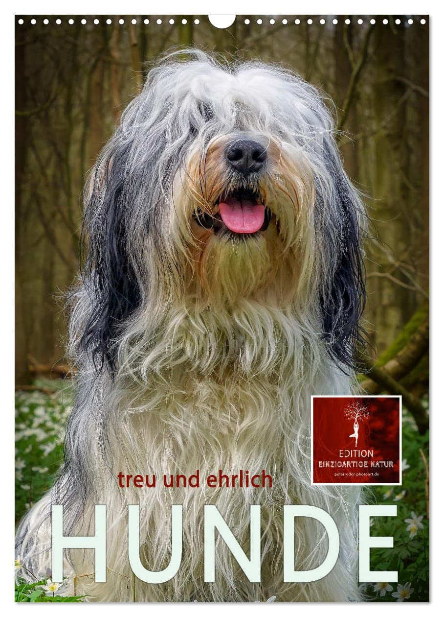 Hunde - treu und ehrlich (Wandkalender 2026 DIN A3 hoch), CALVENDO Monatskalender Living & Furnishing