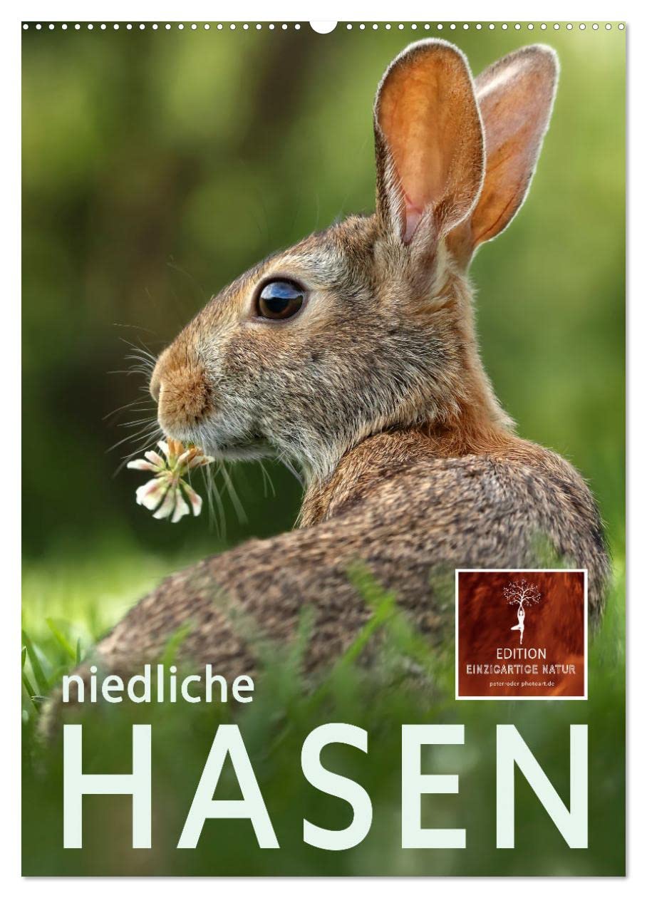 Niedliche Hasen (Wandkalender 2026 DIN A2 hoch), CALVENDO Monatskalender Living & Furnishing