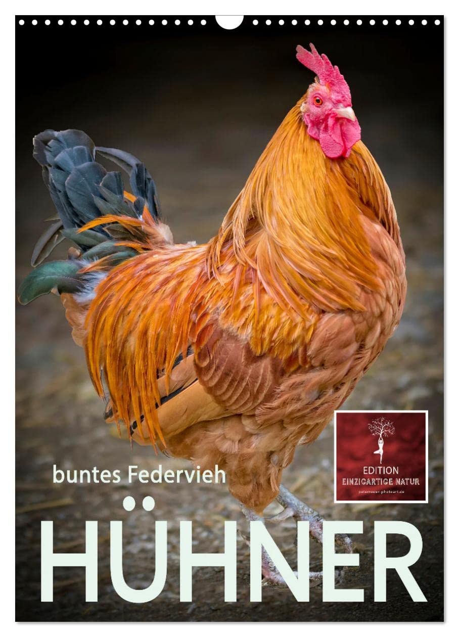 Hühner - buntes Federvieh (Wandkalender 2026 DIN A3 hoch), CALVENDO Monatskalender Living & Furnishing