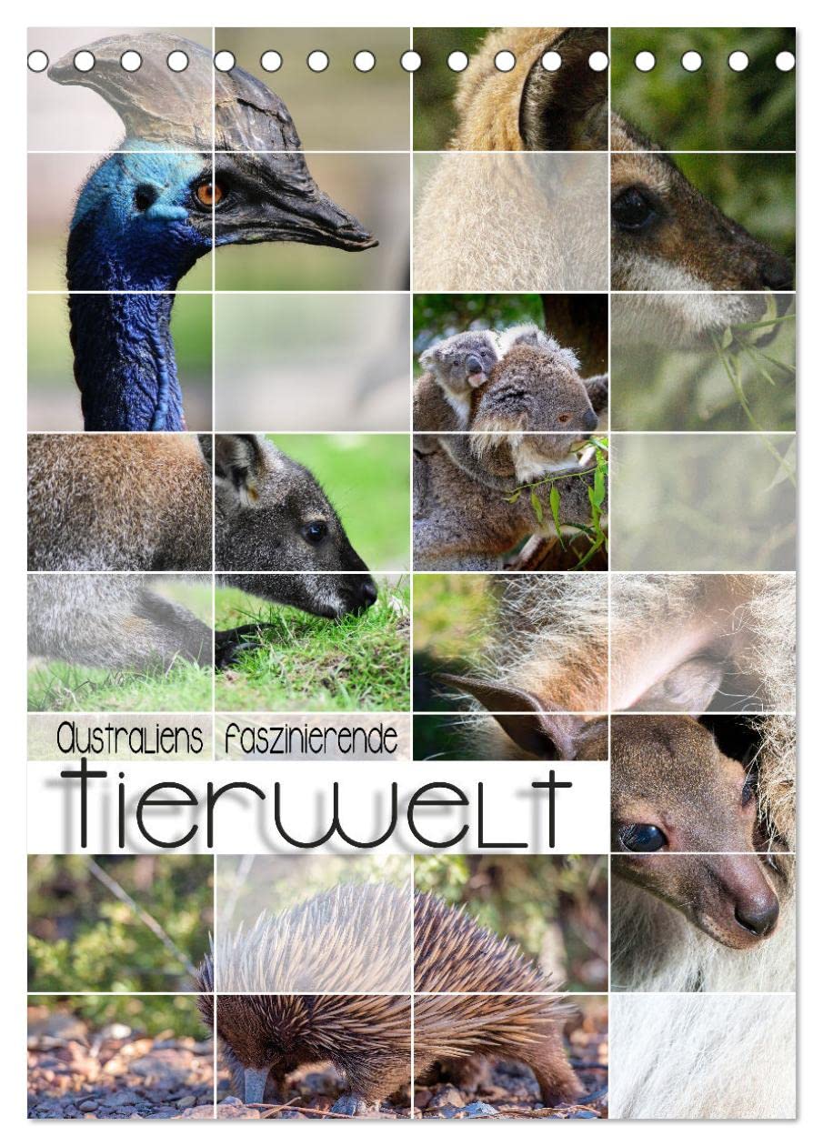 Australiens faszinierende Tierwelt (Tischkalender 2026 DIN A5 hoch), CALVENDO Monatskalender Film, Art & Culture