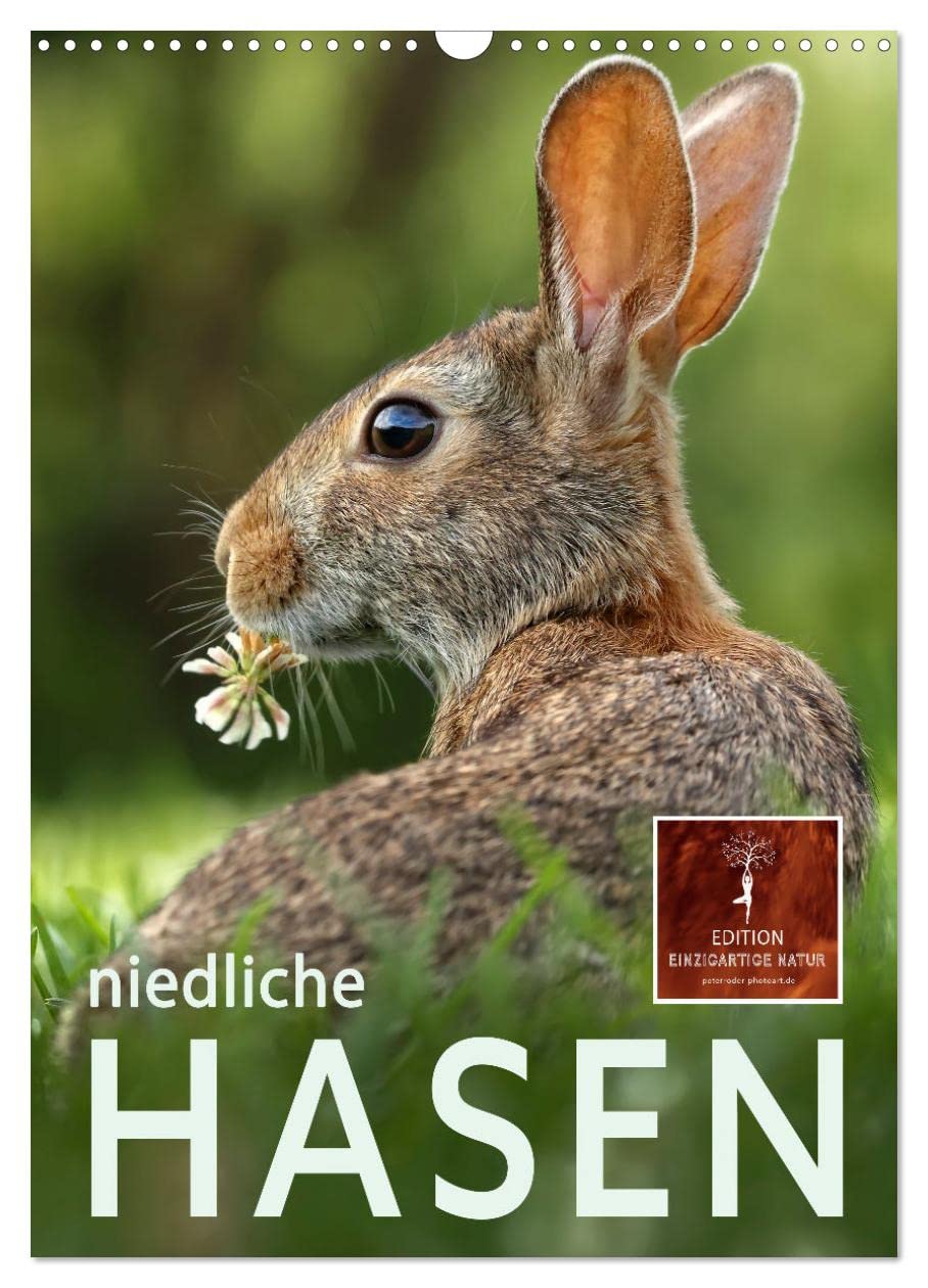 Niedliche Hasen (Wandkalender 2026 DIN A3 hoch), CALVENDO Monatskalender Living & Furnishing
