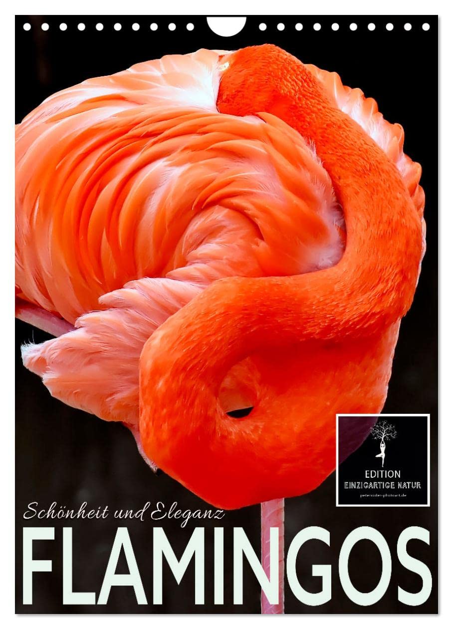 Flamingos - Eleganz und Schönheit (Wandkalender 2026 DIN A4 hoch), CALVENDO Monatskalender Living & Furnishing