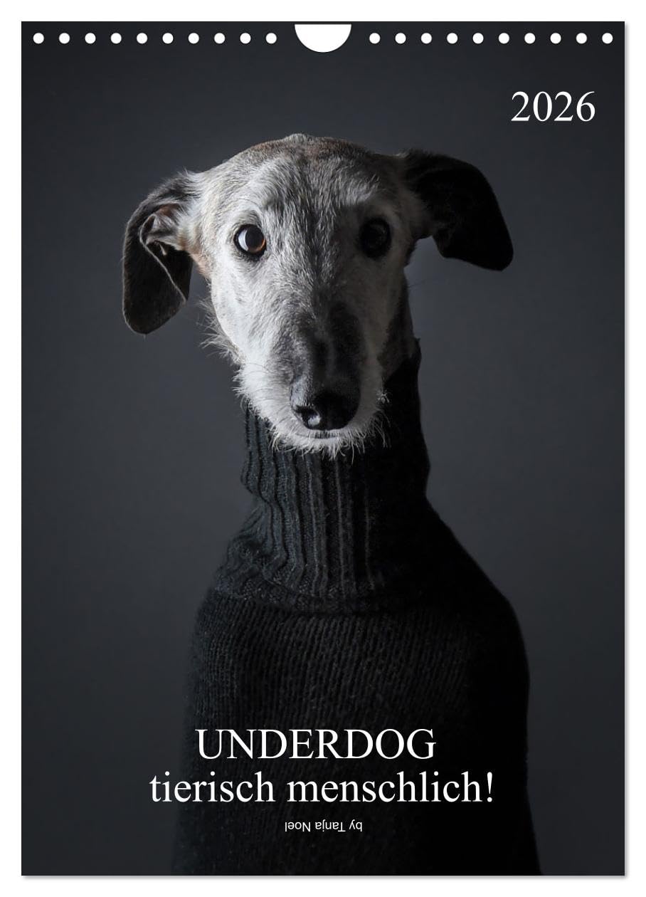 UNDERDOG - Windhundportraits (Wandkalender 2026 DIN A4 hoch), CALVENDO Monatskalender Natural Sciences