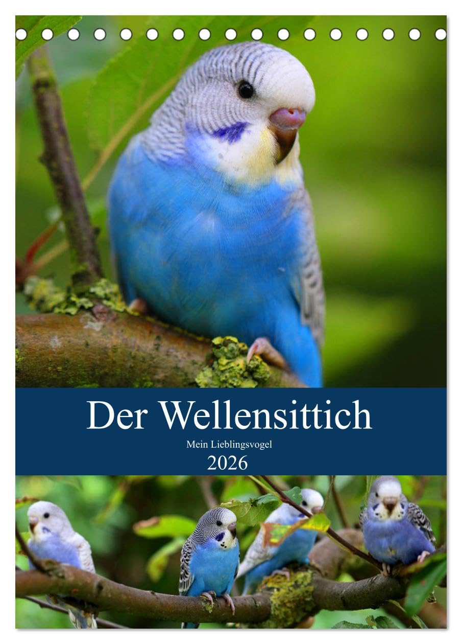Der Wellensittich - Mein Lieblingsvogel (Tischkalender 2026 DIN A5 hoch), CALVENDO Monatskalender Social Sciences