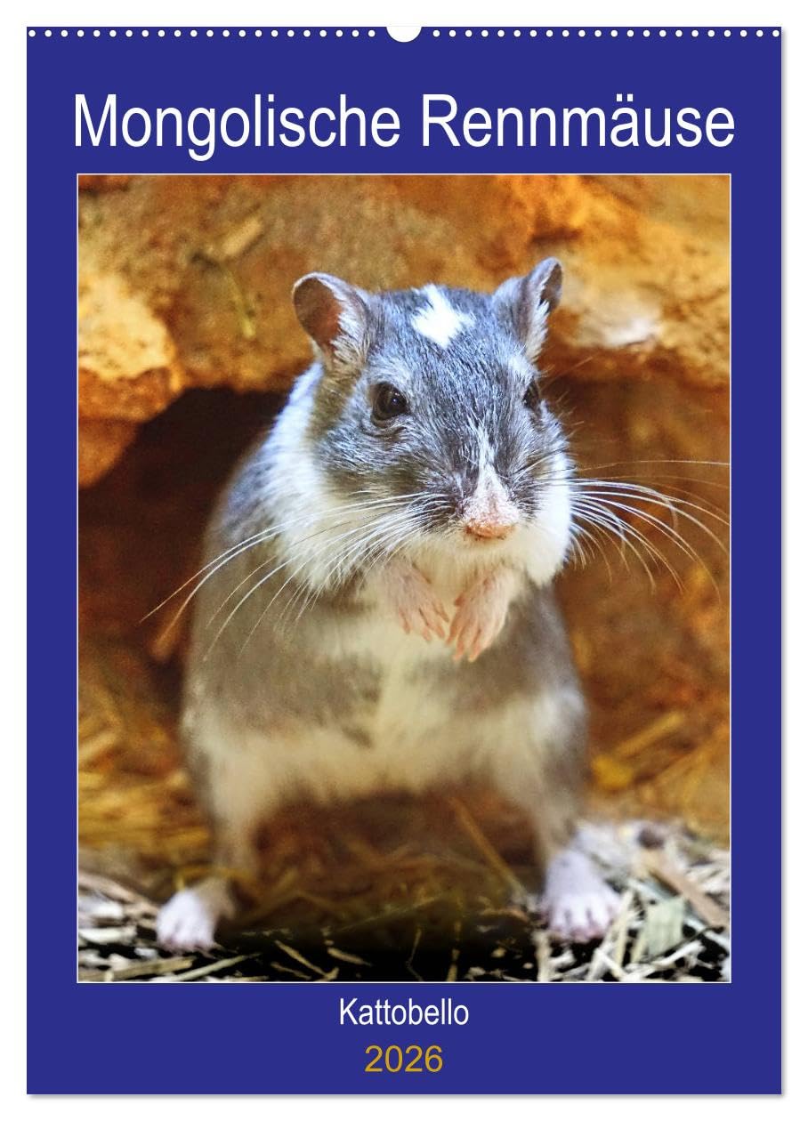 Mongolische Rennmäuse (Wandkalender 2026 DIN A2 hoch), CALVENDO Monatskalender Pets