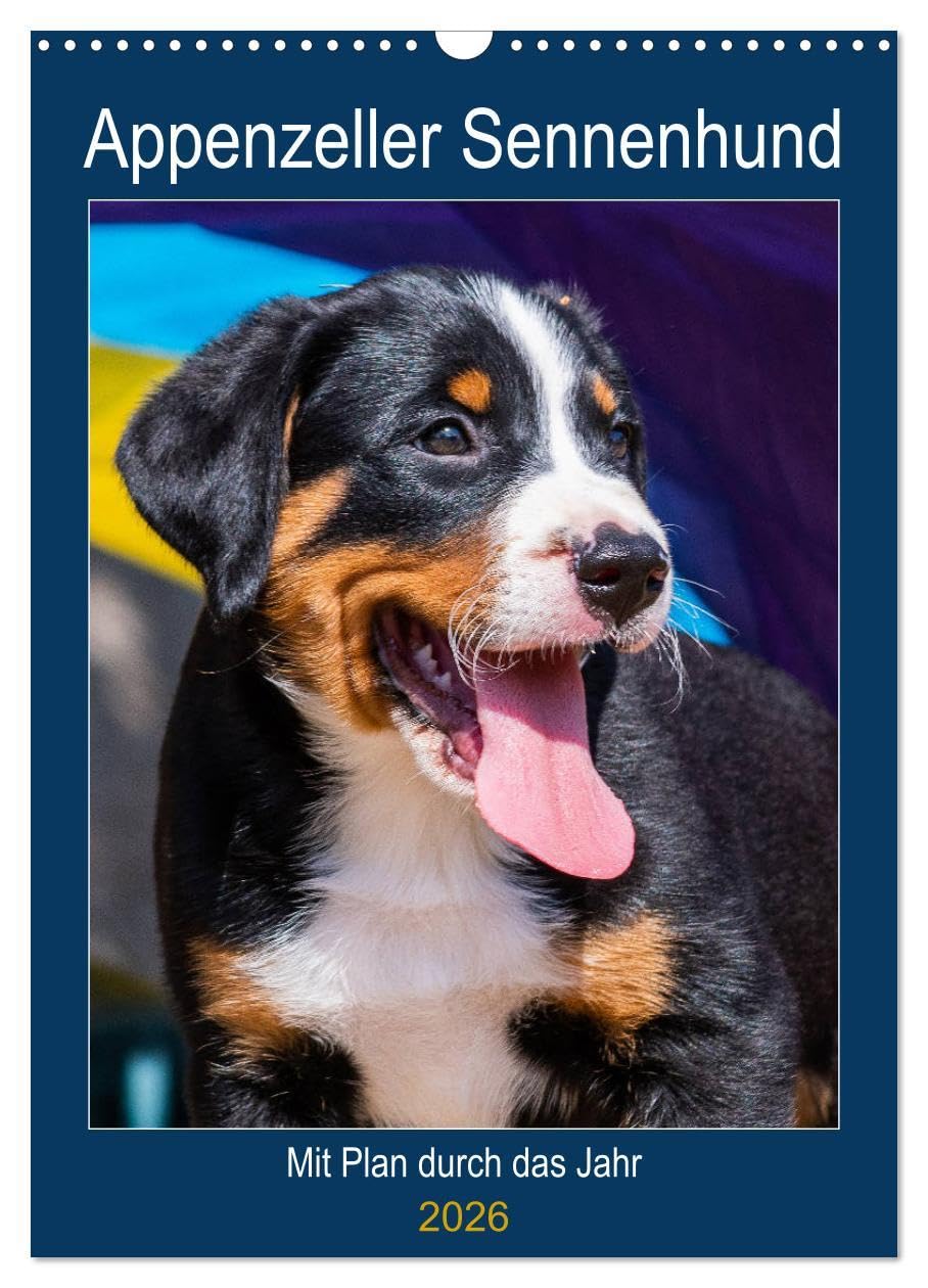 Appenzeller Sennenhund - Mit Plan durch das Jahr (Wandkalender 2026 DIN A3 hoch), CALVENDO Monatskalender Natural Sciences