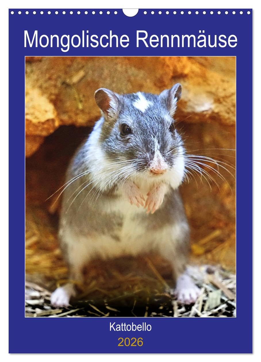 Mongolische Rennmäuse (Wandkalender 2026 DIN A3 hoch), CALVENDO Monatskalender Pets